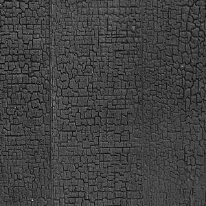 Charcoal Wood (Coarse grain)