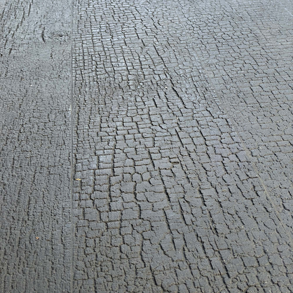 Charcoal Wood（Coarse grain） Detail (6)