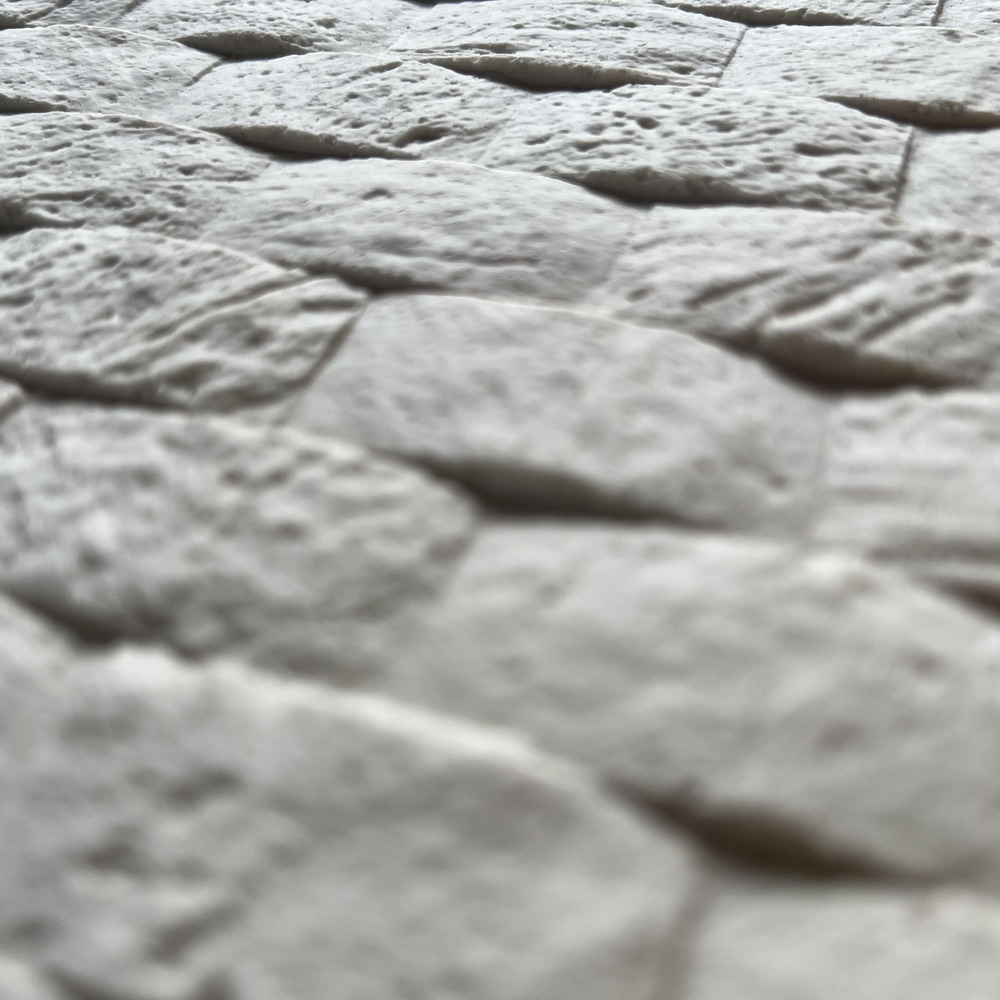 Coconut Detail (7)